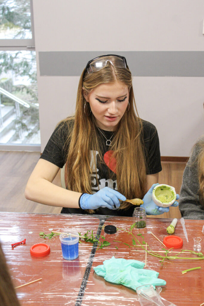 Uczennica przygotowuje próbkę roślinną podczas warsztatów laboratoryjnych.